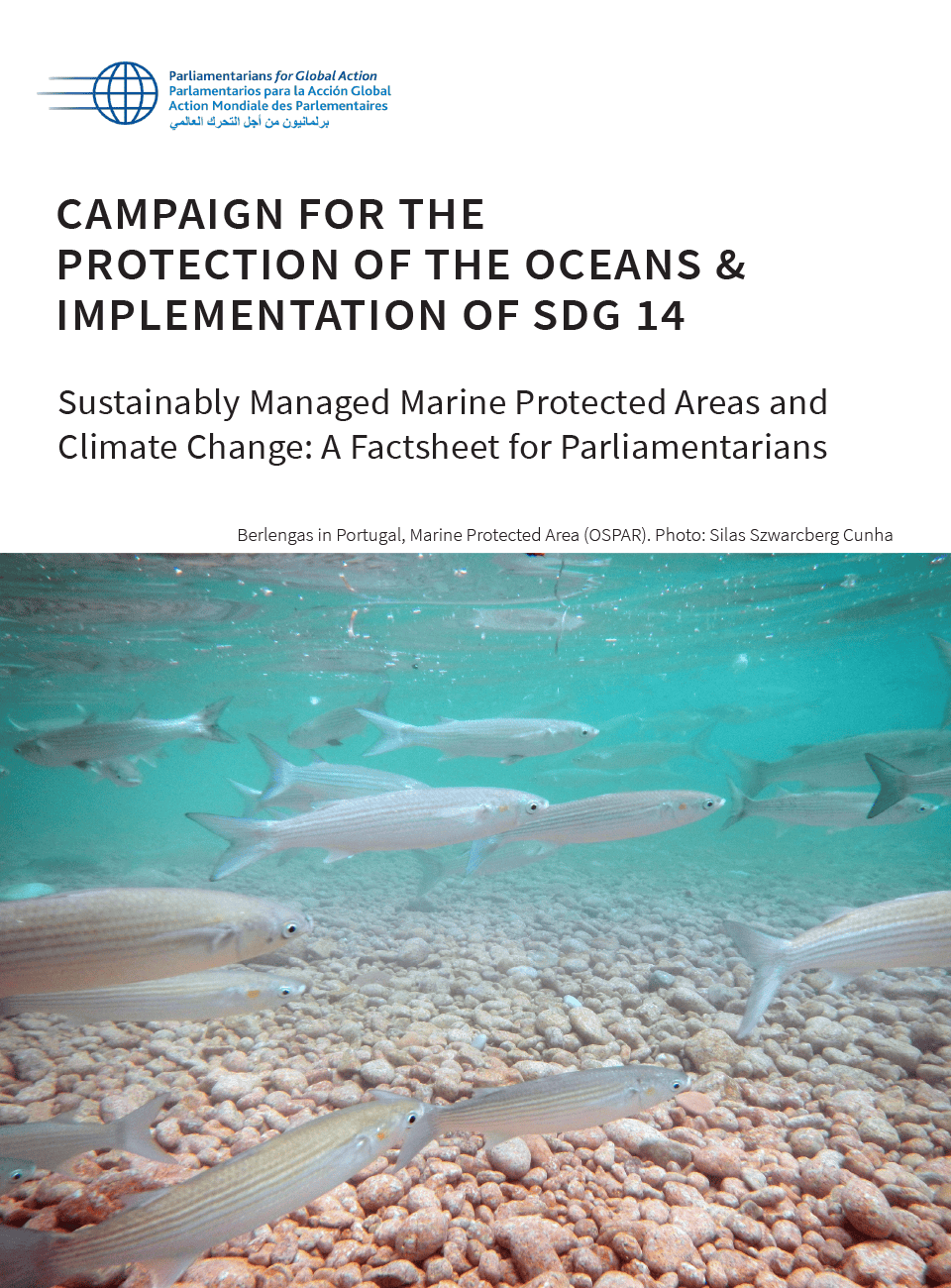 Factsheet for Parliamentarians: Sustainably Managed Marine Protected Areas and Climate Change