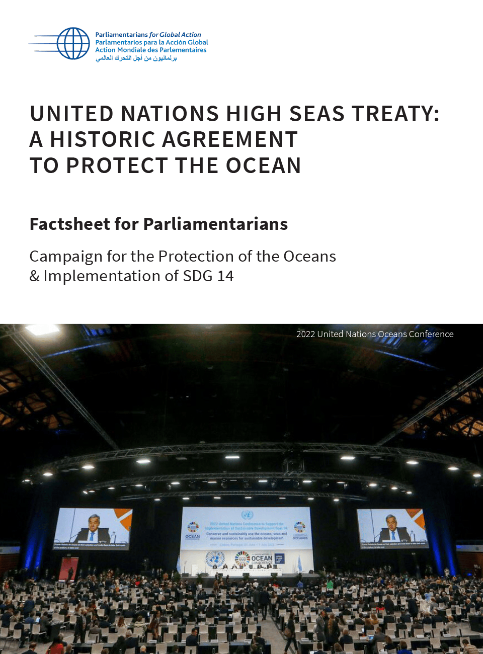 Factsheet for Parliamentarians: United Nations High Seas Treaty: An Historic Agreement to Protect the Ocean