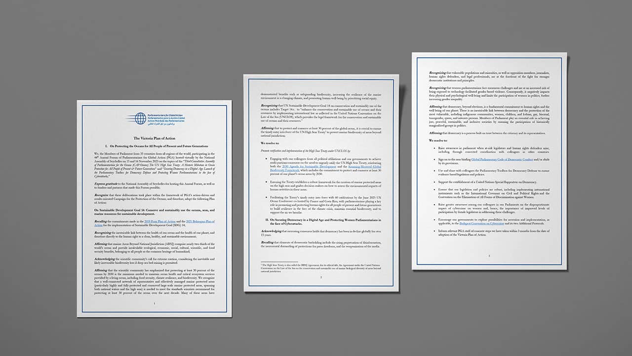 Plan of Action on the Universality, Effectiveness and Integrity of the Rome Statute system against impunity